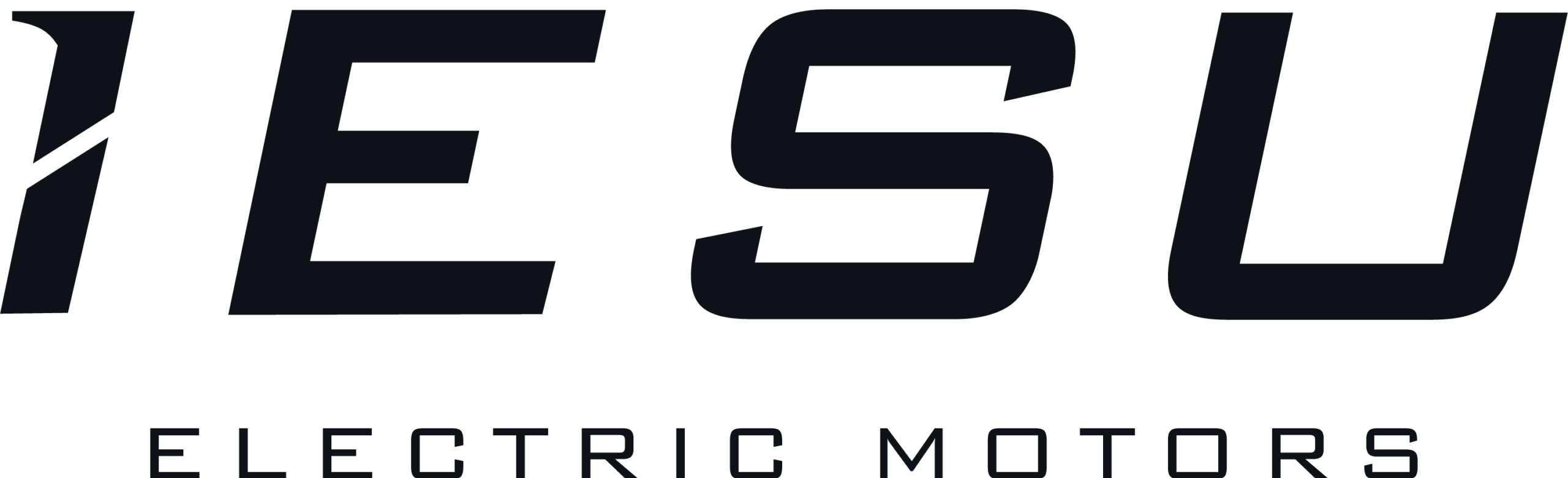 IESU Electric Motors IESU Electric Motors